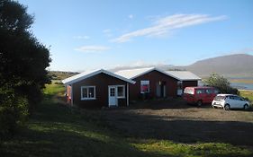 Icelandhorsetours - Helluland