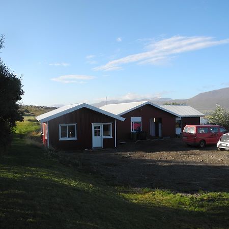 Icelandhorsetours - Helluland Saudarkrokur Exterior foto