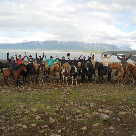 Icelandhorsetours - Helluland Saudarkrokur Exterior foto