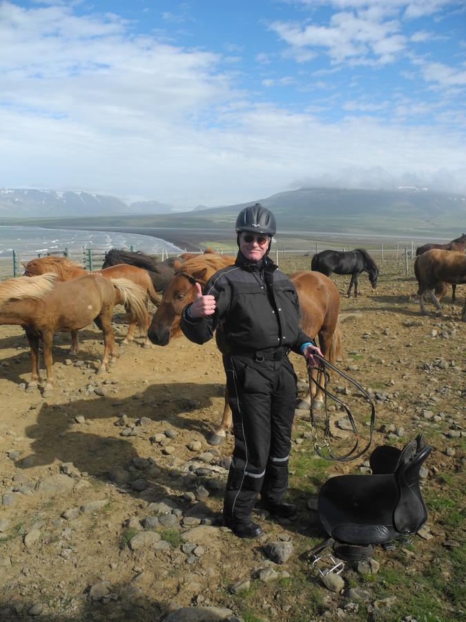 Icelandhorsetours - Helluland Saudarkrokur Exterior foto