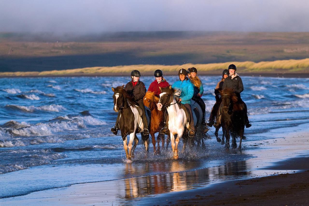 Icelandhorsetours - Helluland Saudarkrokur Exterior foto