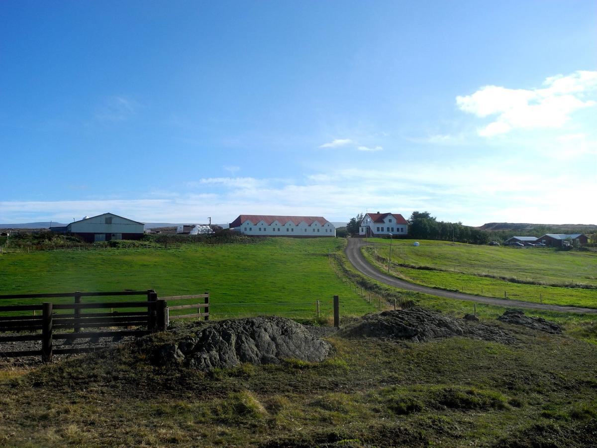 Icelandhorsetours - Helluland Saudarkrokur Exterior foto