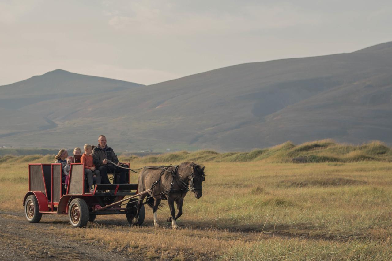Icelandhorsetours - Helluland Saudarkrokur Exterior foto