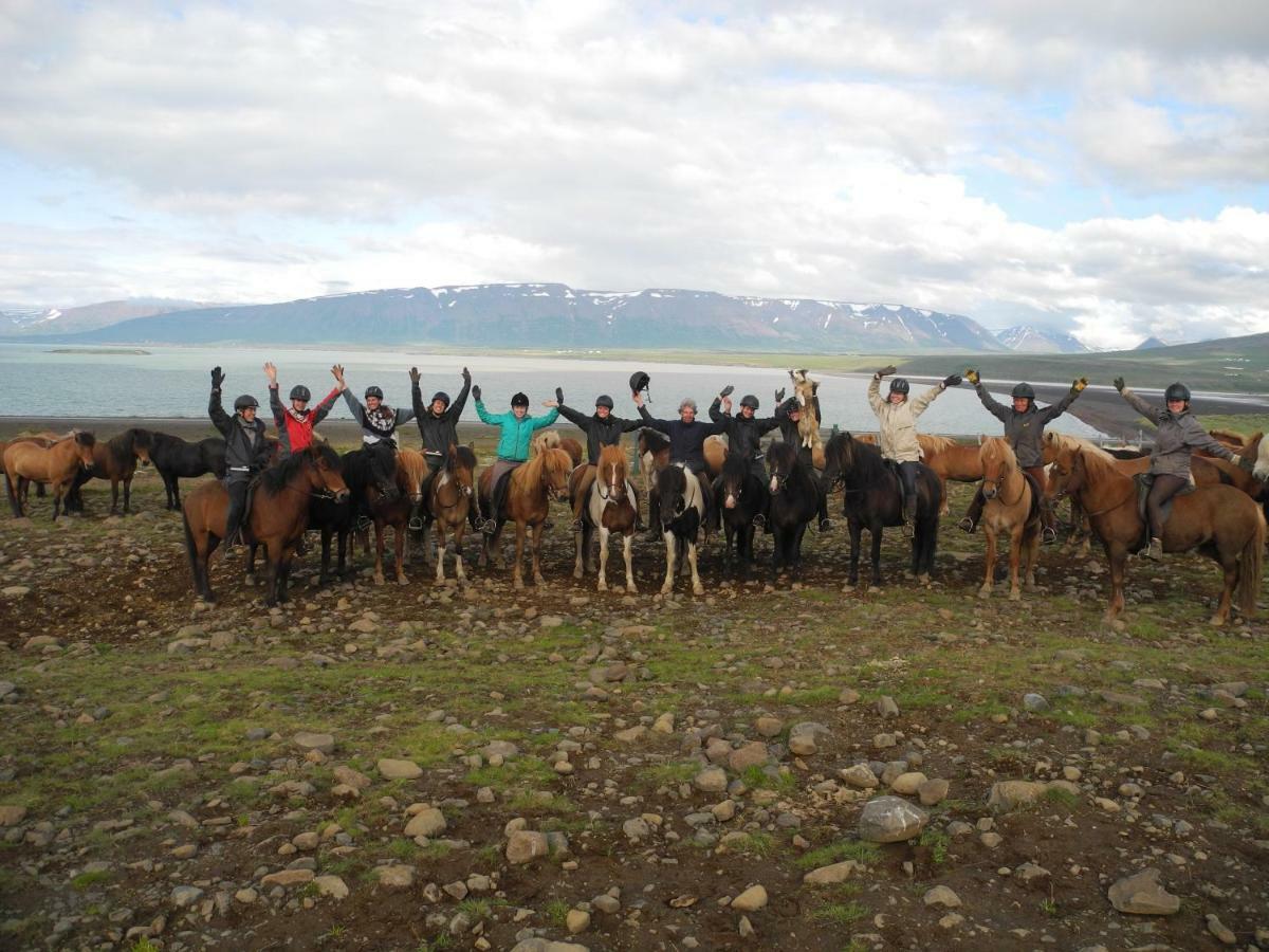 Icelandhorsetours - Helluland Saudarkrokur Exterior foto
